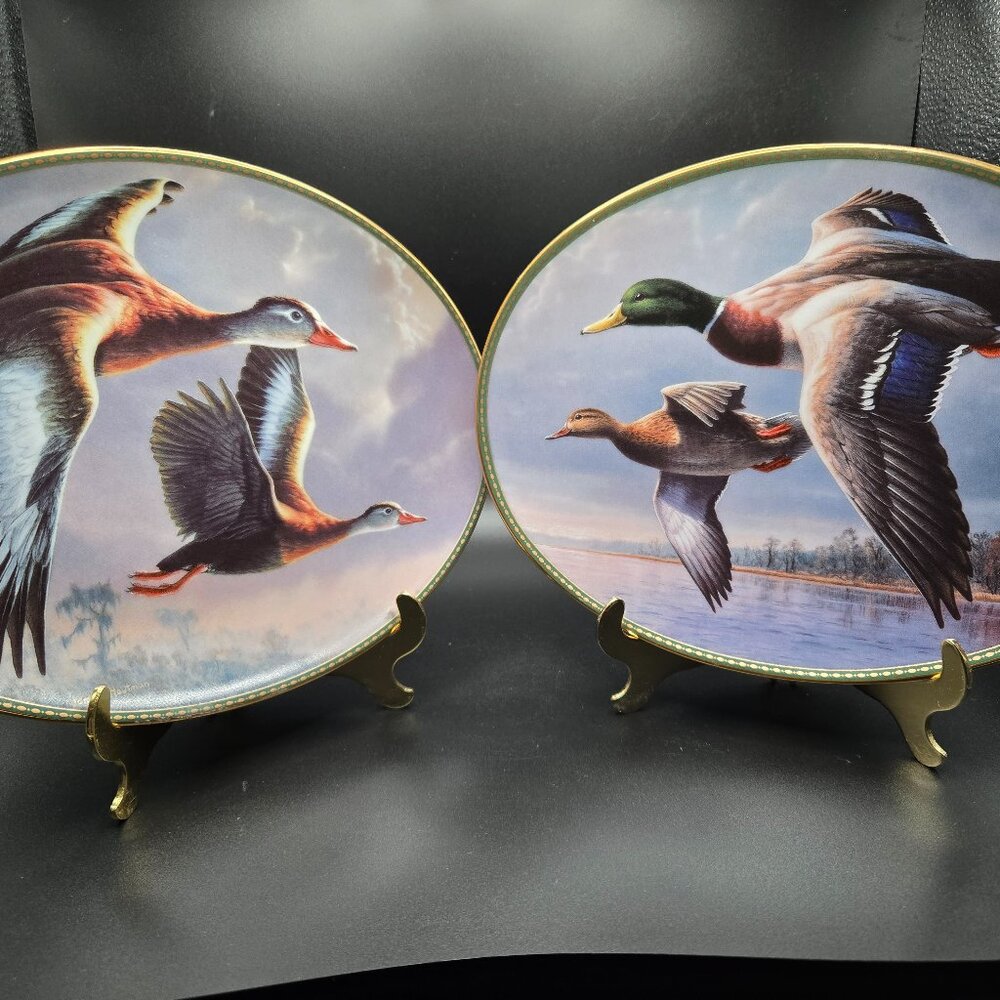 Duck Decorative Plates Mallards & Black Bellied Whistling Ducks Like New